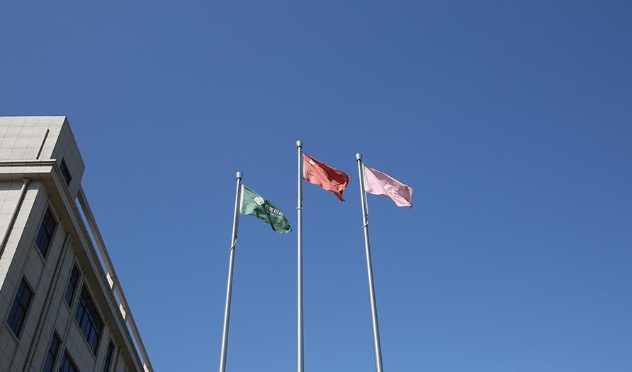 2010